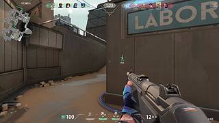 灰色知更鸟的直播间