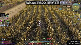 小凡妹妹打论剑 1段-求败