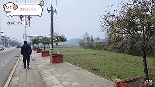 Day35，45km，武汉见了