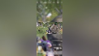 萌新一枚么么哒