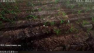 电影级画质，失眠者福音~