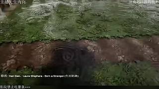 电影级画质，失眠者福音~