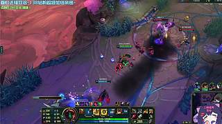 可可✨汪 汪汪 汪汪汪