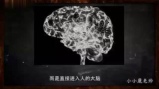 小小鹿的恐怖故事馆（故事内容仅为小说）