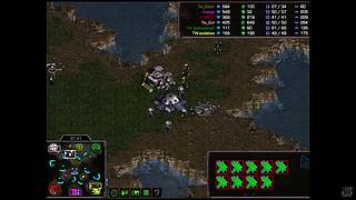 大红袍星际争霸