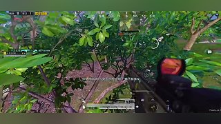 南柯又白给了的直播间