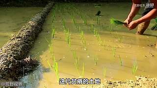 越南小哥的丛林生活