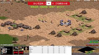 帝国时代菜鸟局