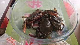 【春节七天乐】