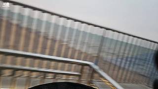 【春节七天乐】