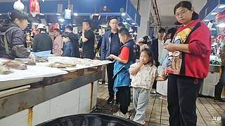 【春节七天乐】