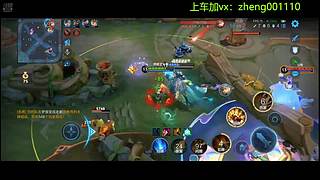 国服野射有车位  可帮打