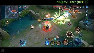 国服野射有车位  可帮打