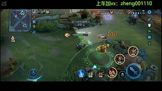 国服野射有车位  可帮打