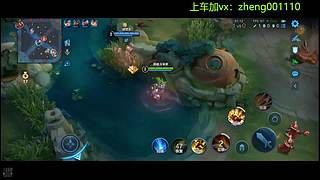 国服野射有车位  可帮打