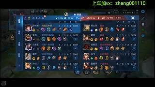 国服野射有车位  可帮打