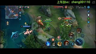 国服野射有车位  可帮打