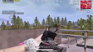 月殿玉兔直播间