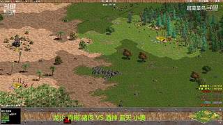 超菜菜鸟的直播间