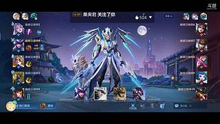 国服射手带飞 11383345