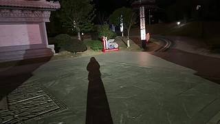 新的一年祝大家新年快乐～