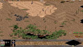 海鸟海运的直播间