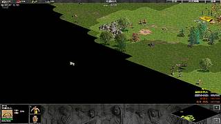 海鸟海运的直播间