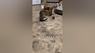 星球大战前线2玩玩看。