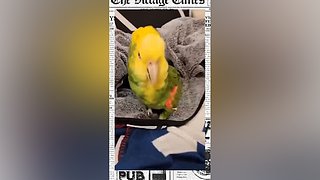 星球大战前线2玩玩看。