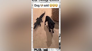 星球大战前线2玩玩看。