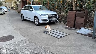 新年快乐！深圳过年Day2