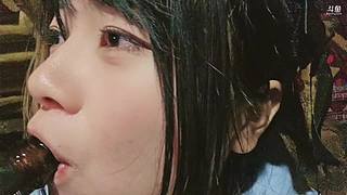 在斯里兰卡喵7day