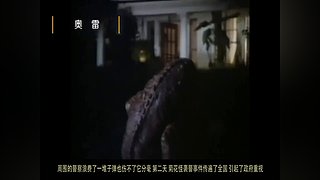 【奥雷】带你看遍奇葩老电影