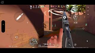 老白：单排赋能选手！