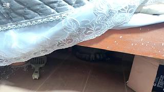 马年大吉！事事如意～