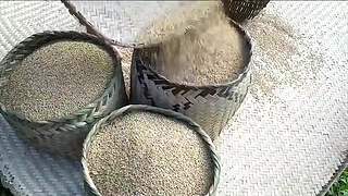 全小哥野外建造