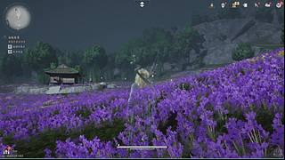 烂透了的诺基亚的直播间