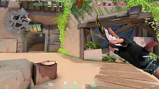 第7次元的直播间