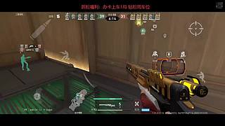 【萌新主播】有车位~