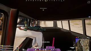 新人主播专一pubg