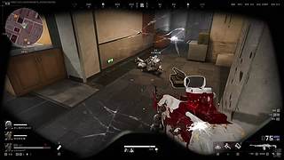 497922906的直播间