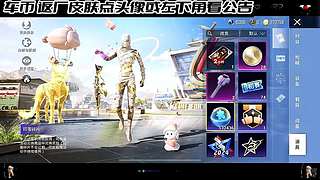 车币返厂皮肤车皮 12792728