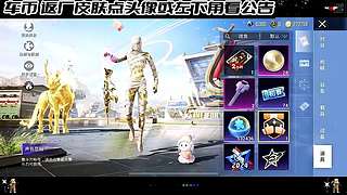 车币返厂皮肤车皮 12792728