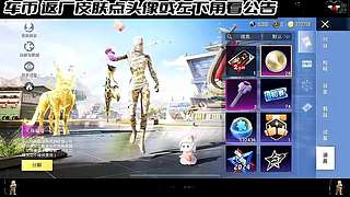 车币返厂皮肤车皮 12792728