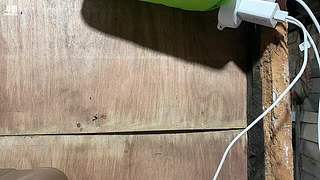 斯里兰卡主线任务进行中