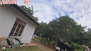 斯里兰卡再出发day30