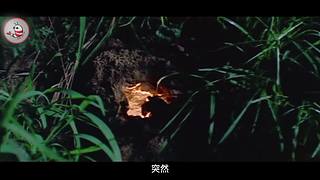 【速看】爆笑解说，欢乐百分百！