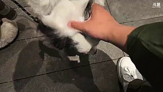 回消息到比较晚，下午开播