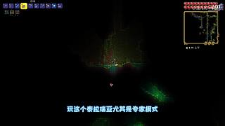 饥荒联机版 BOSS攻略应有尽有