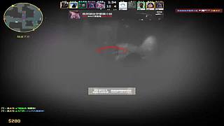 纯新手 在线挨打